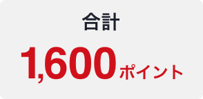 合計 1,600ポイント