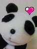 がっちゃんさんの写真